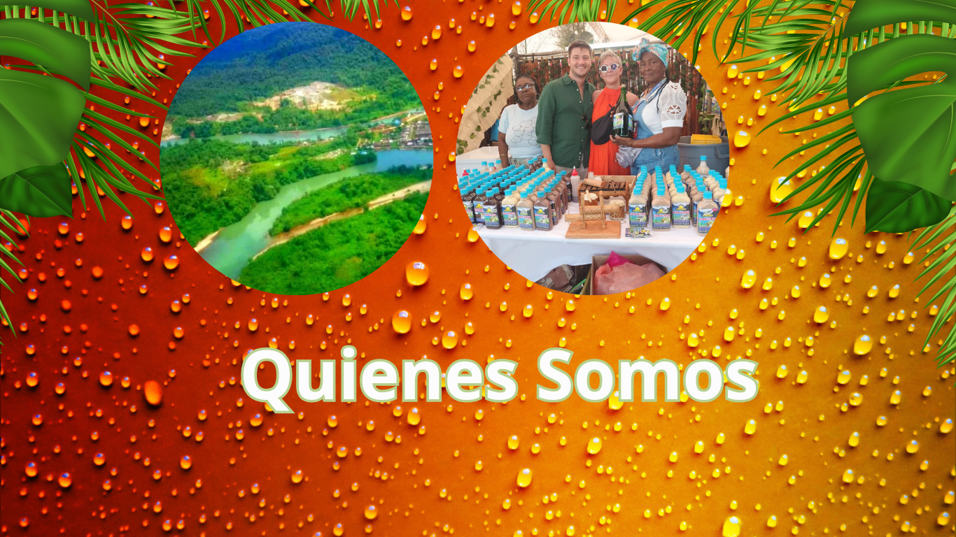 Quienes Somos